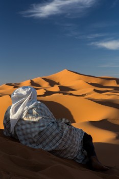Pihenő a Szaharában