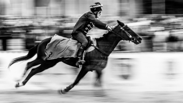 Gallop