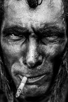 Wolverine