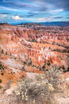 Bryce canyon