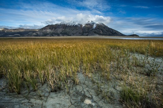Kluane tó