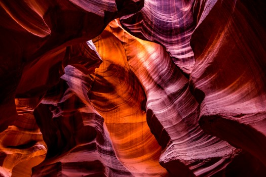 Antelope