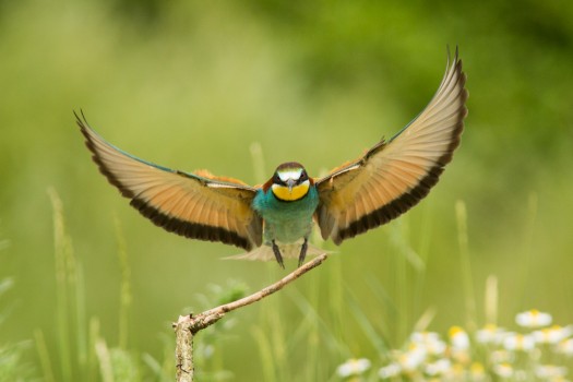 Érkezés