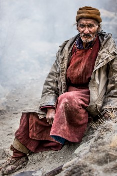 Öreg ladakhi