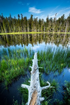 Yosemite lake
