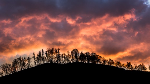 Armageddon