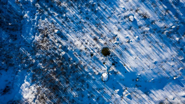 Shadows on the snow