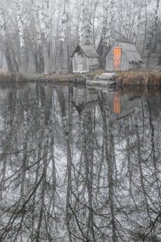 Tükör