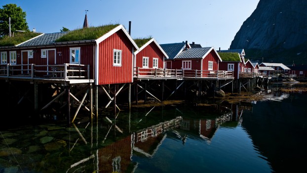 Reine
